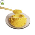 Berberis Vulgaris Extract Berberine Hydrochloride Powder